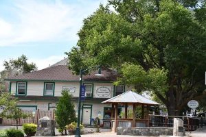 Unfiltered Reactions That Define the Tone of Westgate Resorts Reviews